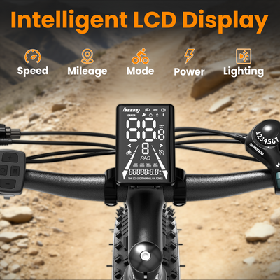 AMYET K10 1000W Electric Bike for Adults with 20