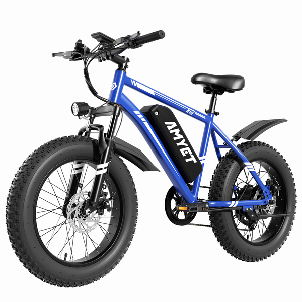 AMYET K10 1000W Electric Bike for Adults with 20