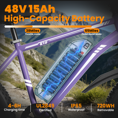 AMYET K10 1000W Electric Bike for Adults with 20"x4" Fat Tire with 48V 15AH Battery, Commute Electric Bicycles,Mountain Ebikes 28mph 60 Miles 7 Speed Gears E-bike for Men Women Teenagers,Purple