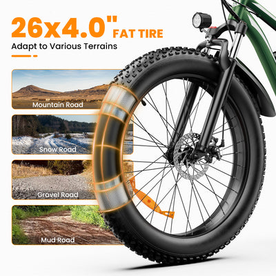 AMYET EB26 1000W Electric Bike with 26"x4" Fat Tire and 48V 15AH Battery, Max 28MPH 60Miles Range - Green