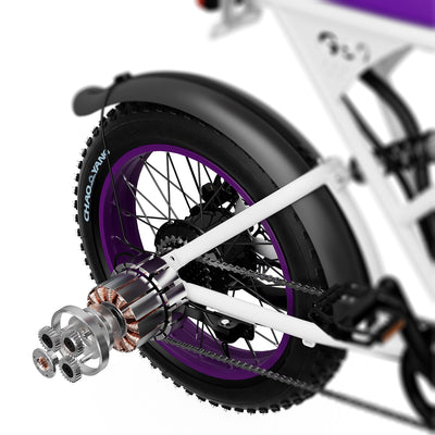 AMYET V9-G60 Fat Tire Mountain Peak 1500W 48V 20Ah Electric Bike, UL2849- Purple