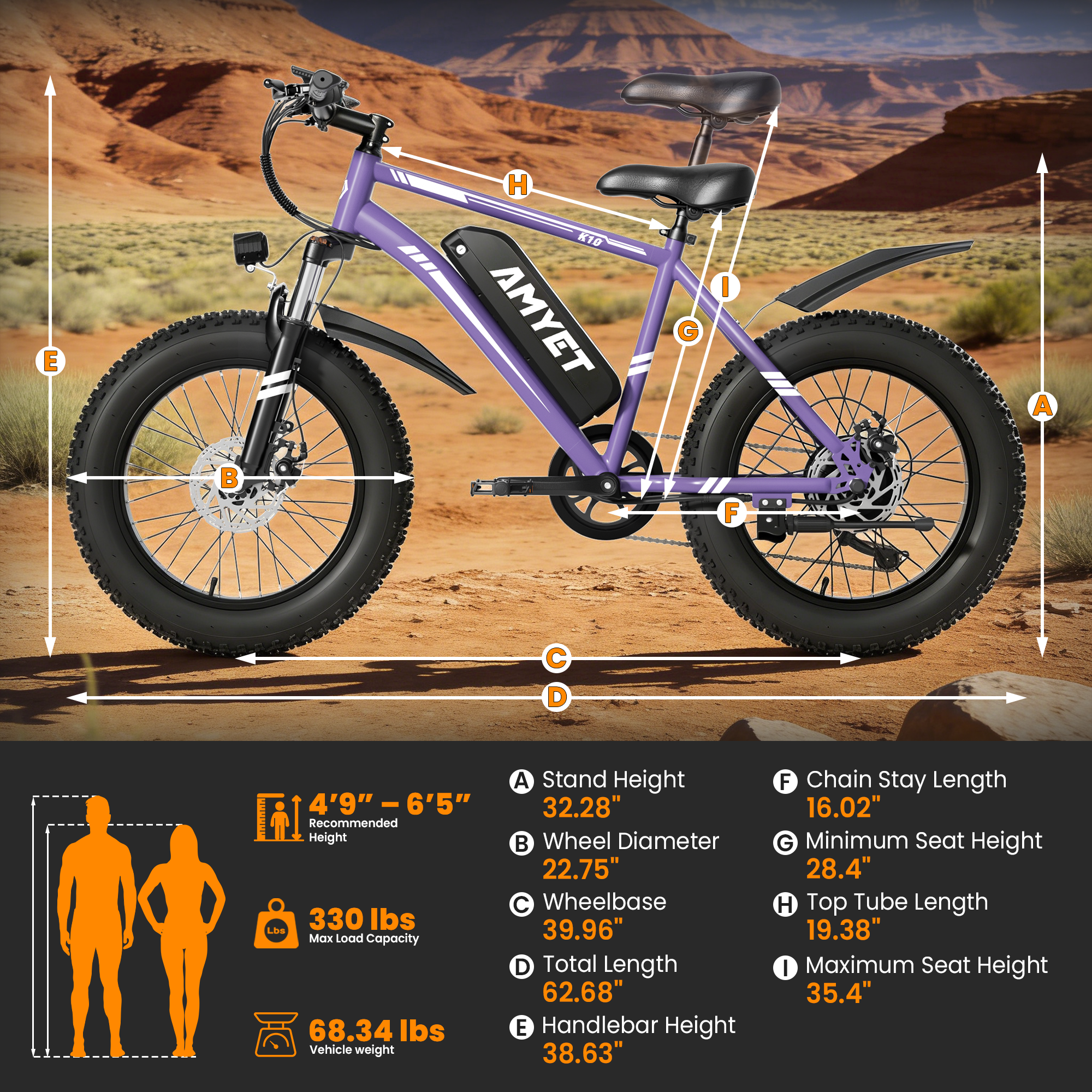 AMYET K10 1000W Electric Bike for Adults with 20
