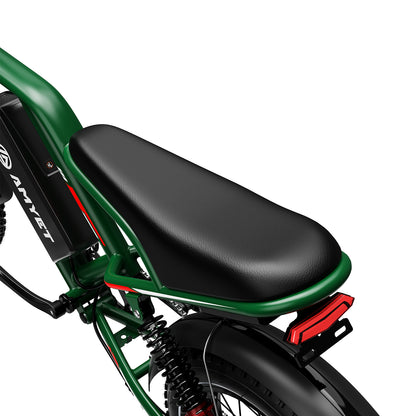 AMYET S8 2*1000W Dual Motor Electric Bike - Green - AMYET eBikes