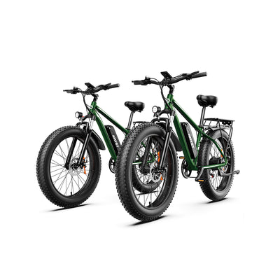AMYET EB26 eBike 1000W Electric Bike - Combo