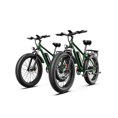 AMYET EB26 eBike 1000W Electric Bike - Combo