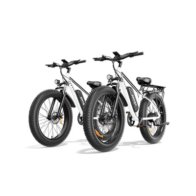 AMYET EB26 eBike 1000W Electric Bike - Combo